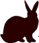 Joli Lapin　(ジョリラパン)